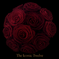 The Iconic Twelve